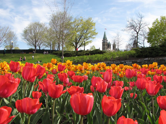 Major's Hill Park em Ottawa Major's Hill Park em Ottawa