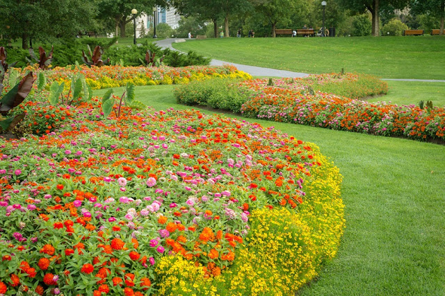 Major's Hill Park em Ottawa Major's Hill Park em Ottawa