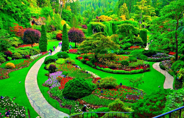 Primavera em Victoria Primavera em Victoria