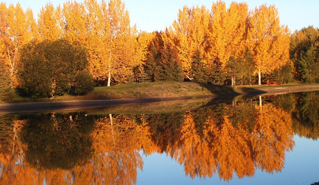 Outono em Edmonton